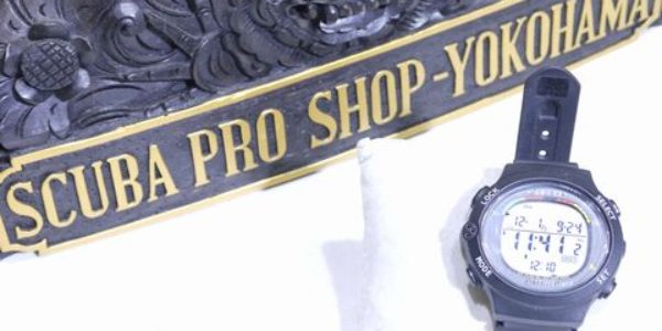 パルス ログ画面