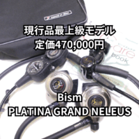 PLATINA GRAND NELEUS