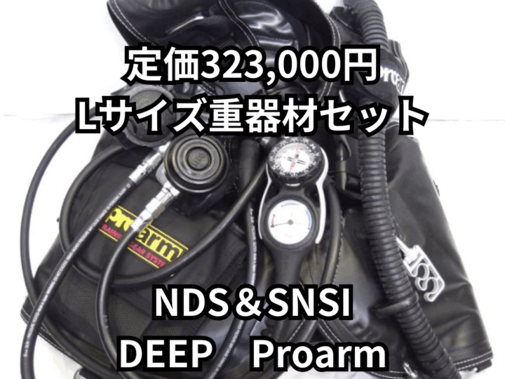 NDS＆SNSI DEEP　Proarm
